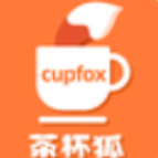 茶杯狐cupfox